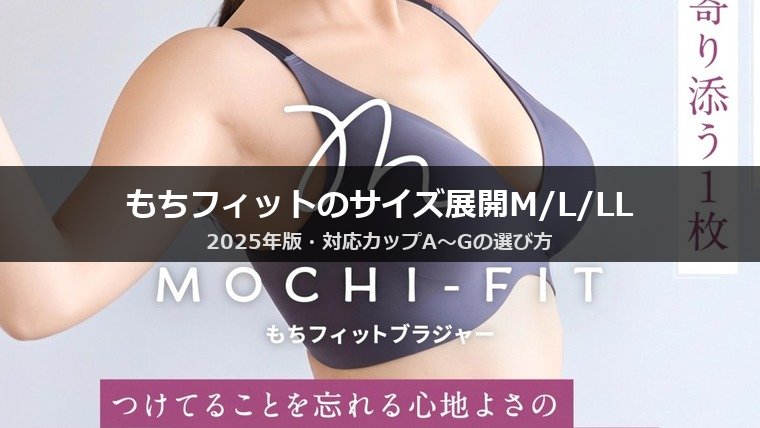 もちフィットのサイズ